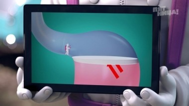 Барышня-крестьянка, Выпуск 19