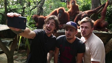 Еда, я люблю тебя: Сингапур