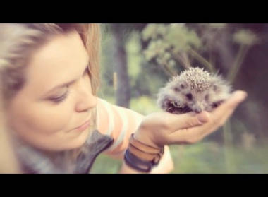 Есть один секрет: выпуск 31