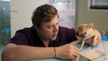 Любимцы: Серия 16