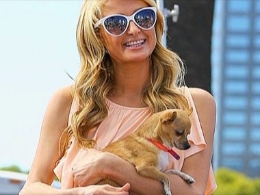 Олигарх-ТВ, Выпуск 1