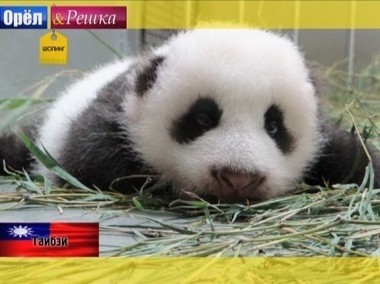 Орел и решка. Шопинг: Тайвань. Тайбэй