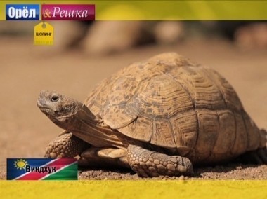 Орел и решка. Шопинг: Виндхук. Намибия