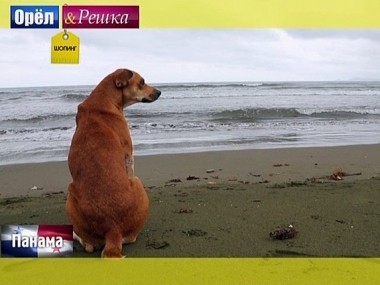 Орел и решка. Шопинг: Панама