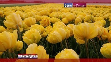 Орел и решка. Перезагрузка: Амстердам. Нидерланды