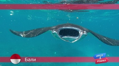 Орел и решка: Бали. Индонезия