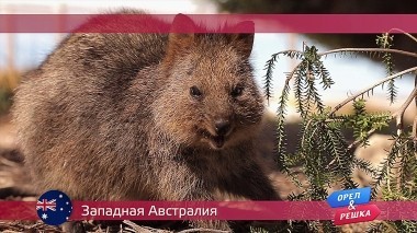 Орел и решка, Западная Австралия