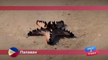 Орел и решка: Палаван. Филипины