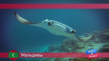 Орел и решка: Мальдивы
