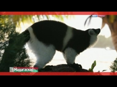 Орел и решка: Мадагаскар. Африка