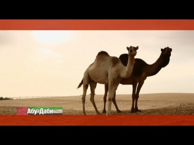 Орел и решка. Курортный сезон: Абу-Даби. ОАЭ