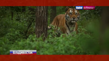 Орел и решка. СССР: Владивосток. Россия