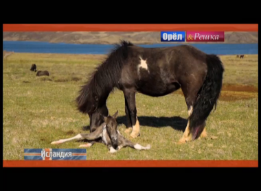 Орел и решка. На краю света: Исландия