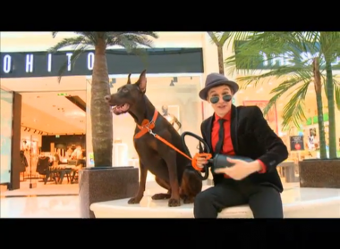 Уличная магия: выпуск 14